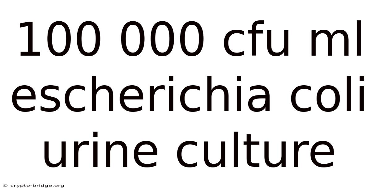 100 000 Cfu Ml Escherichia Coli Urine Culture