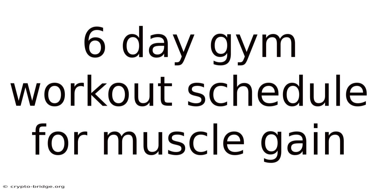 6 Day Gym Workout Schedule For Muscle Gain