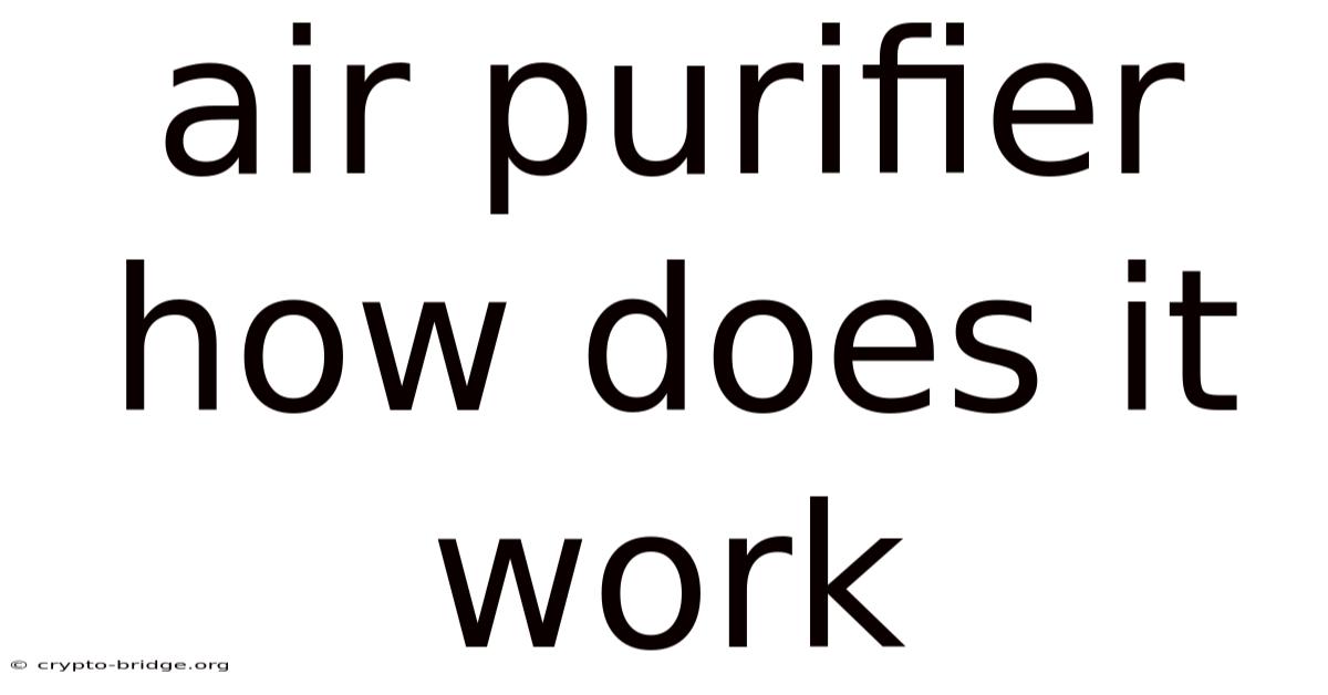 Air Purifier How Does It Work