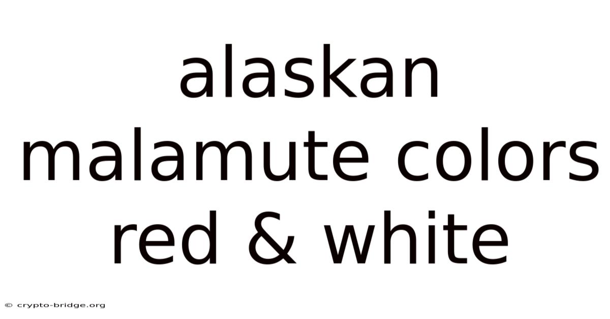 Alaskan Malamute Colors Red & White