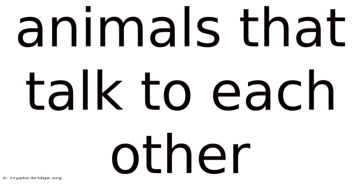 Animals That Talk To Each Other