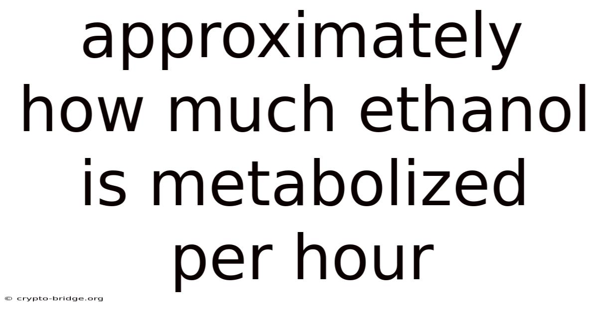Approximately How Much Ethanol Is Metabolized Per Hour