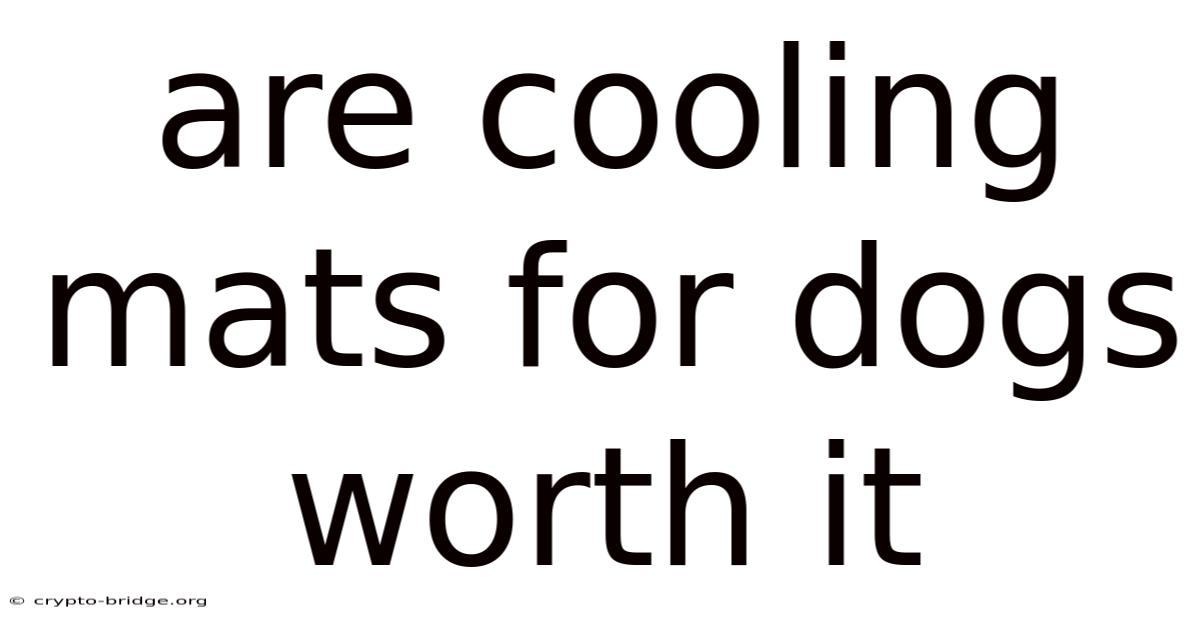 Are Cooling Mats For Dogs Worth It