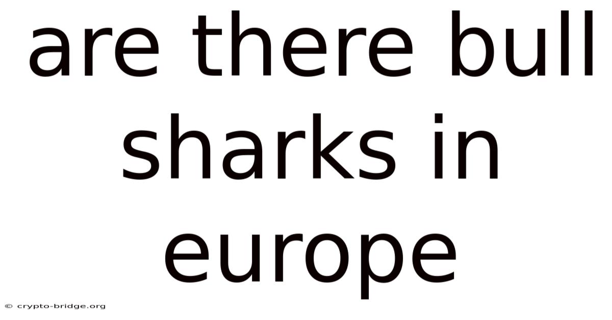 Are There Bull Sharks In Europe