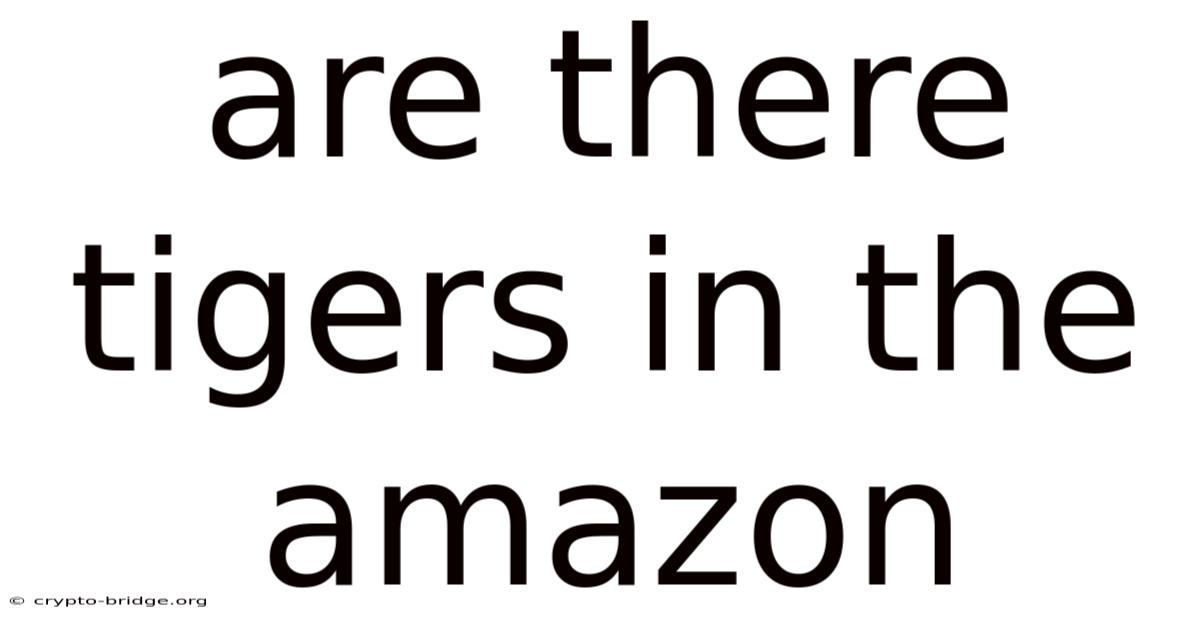 Are There Tigers In The Amazon