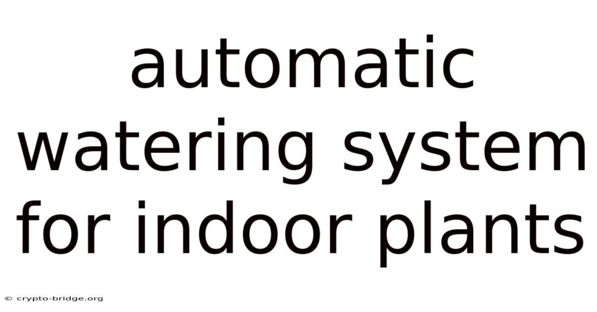 Automatic Watering System For Indoor Plants