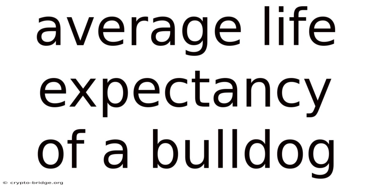 Average Life Expectancy Of A Bulldog