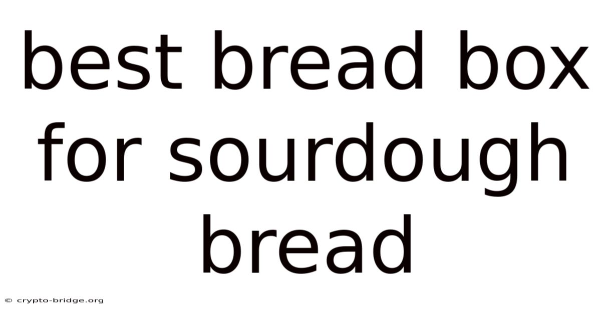 Best Bread Box For Sourdough Bread