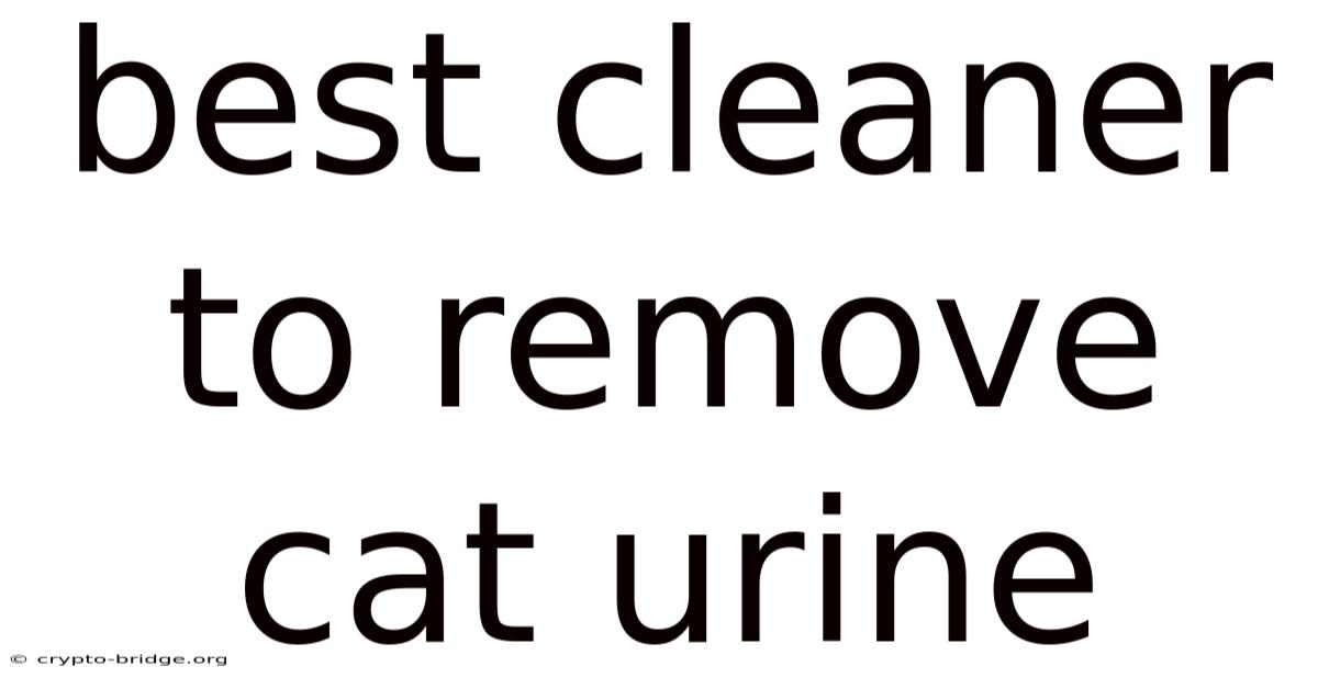 Best Cleaner To Remove Cat Urine