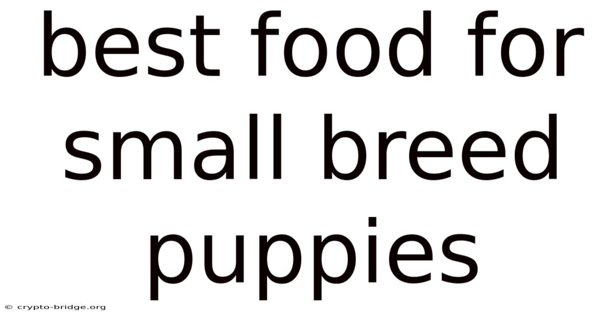 Best Food For Small Breed Puppies