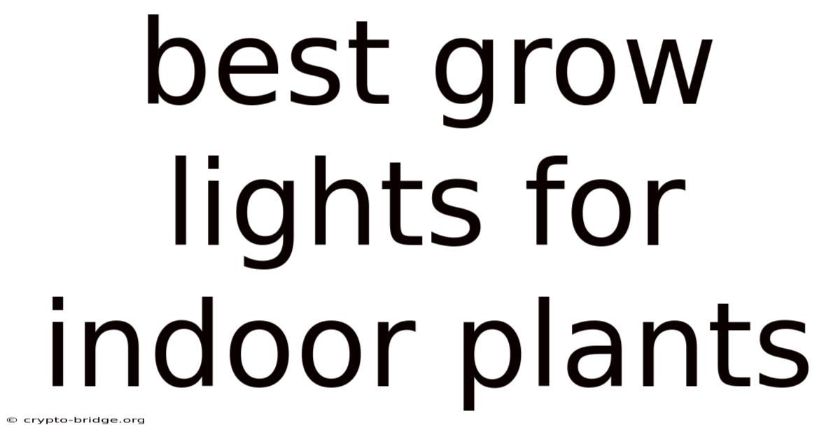 Best Grow Lights For Indoor Plants