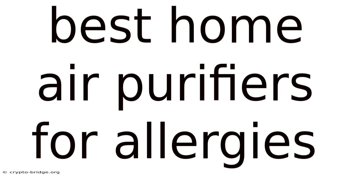 Best Home Air Purifiers For Allergies