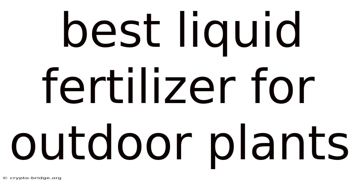 Best Liquid Fertilizer For Outdoor Plants