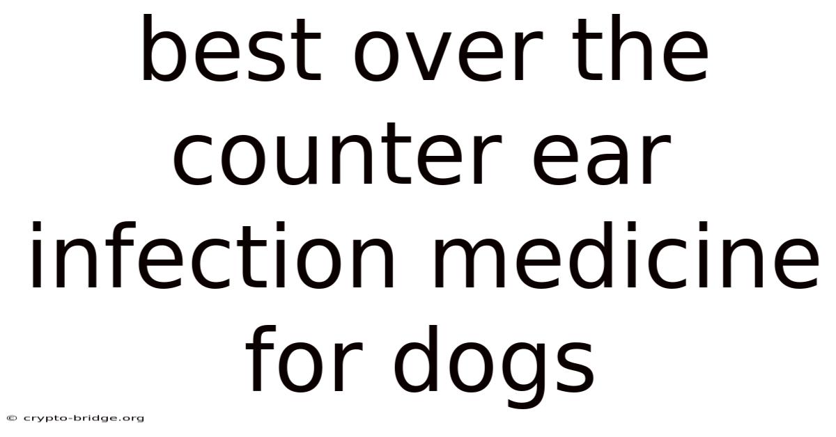 Best Over The Counter Ear Infection Medicine For Dogs
