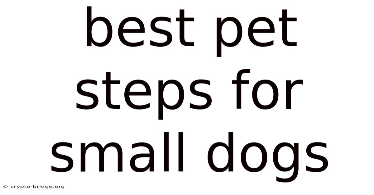 Best Pet Steps For Small Dogs