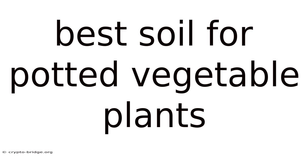 Best Soil For Potted Vegetable Plants