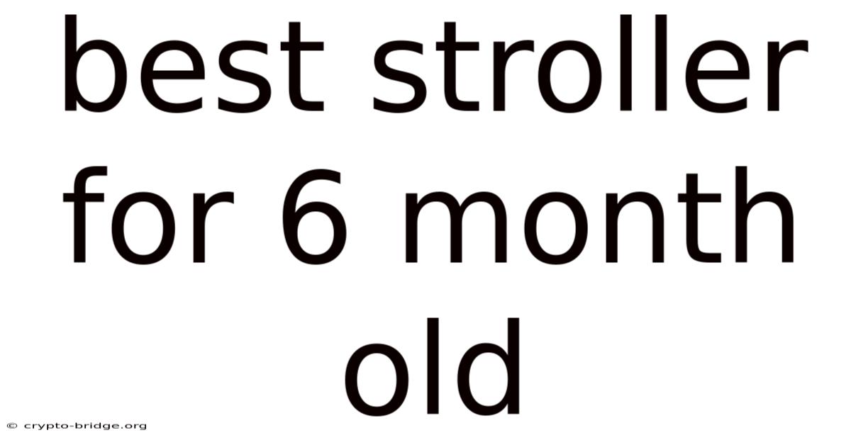 Best Stroller For 6 Month Old