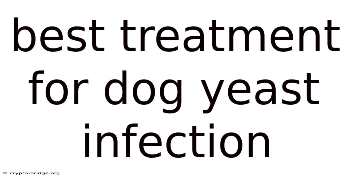 Best Treatment For Dog Yeast Infection