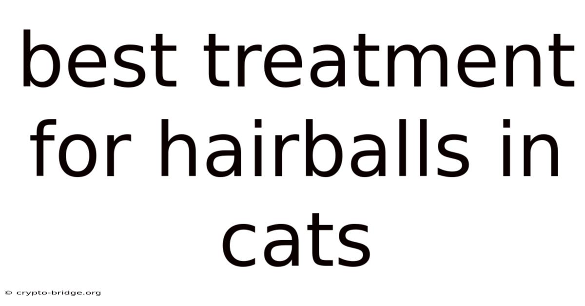 Best Treatment For Hairballs In Cats