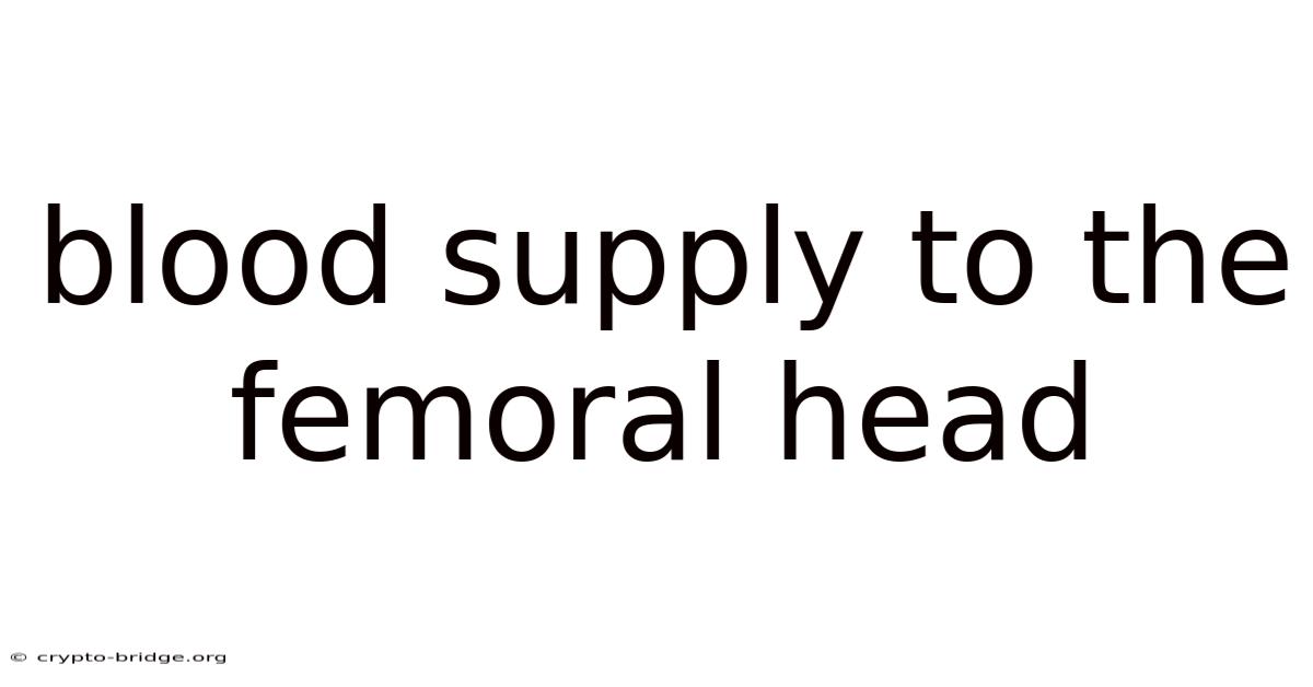 Blood Supply To The Femoral Head