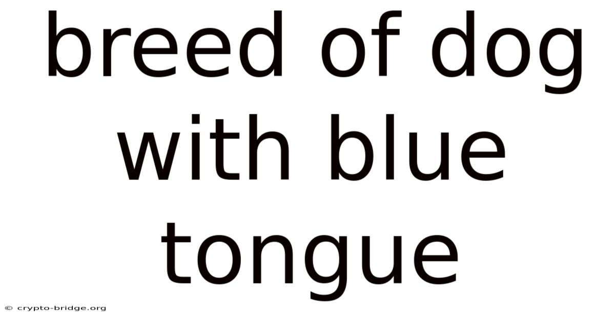 Breed Of Dog With Blue Tongue
