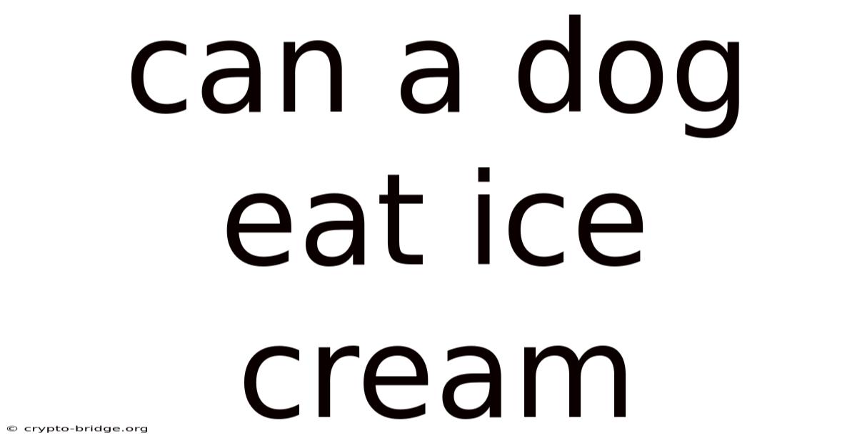 Can A Dog Eat Ice Cream