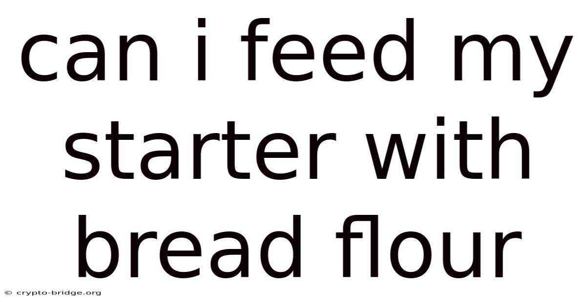 Can I Feed My Starter With Bread Flour
