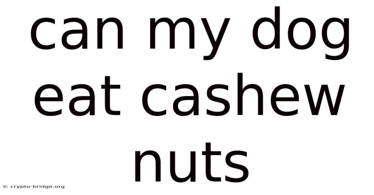 Can My Dog Eat Cashew Nuts