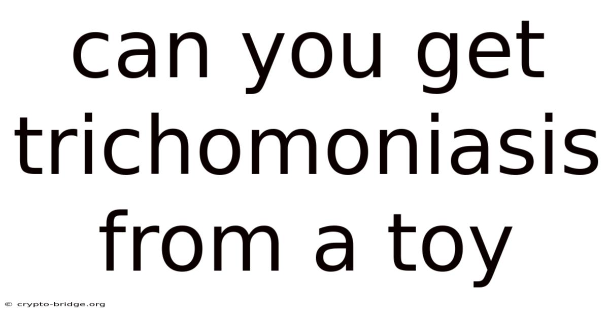 Can You Get Trichomoniasis From A Toy