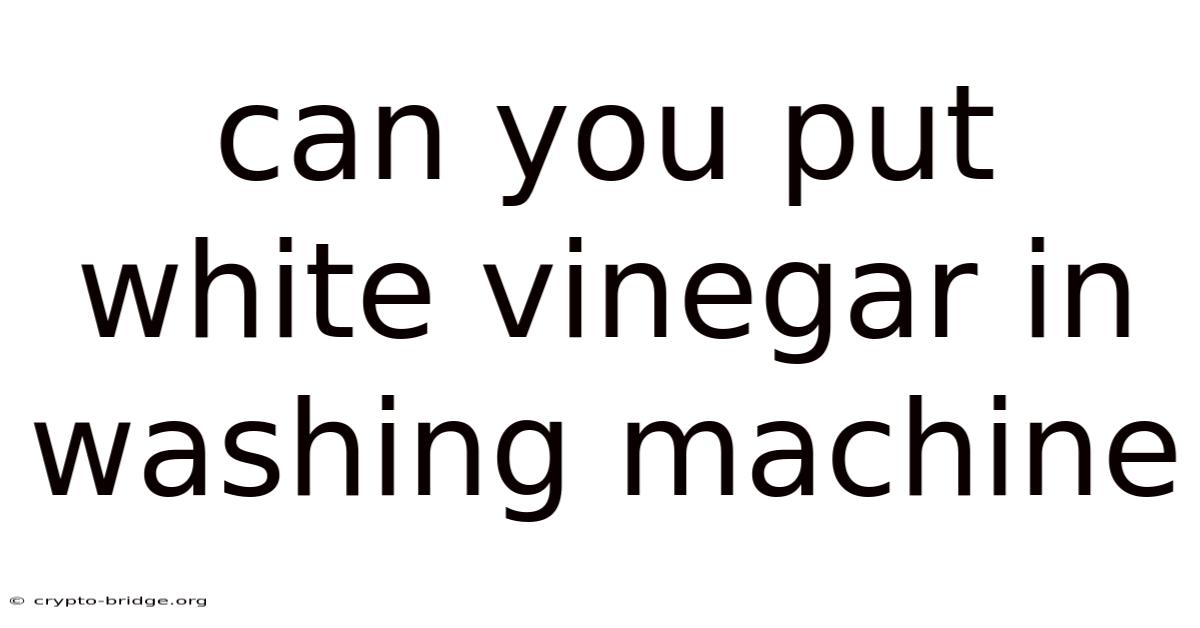 Can You Put White Vinegar In Washing Machine