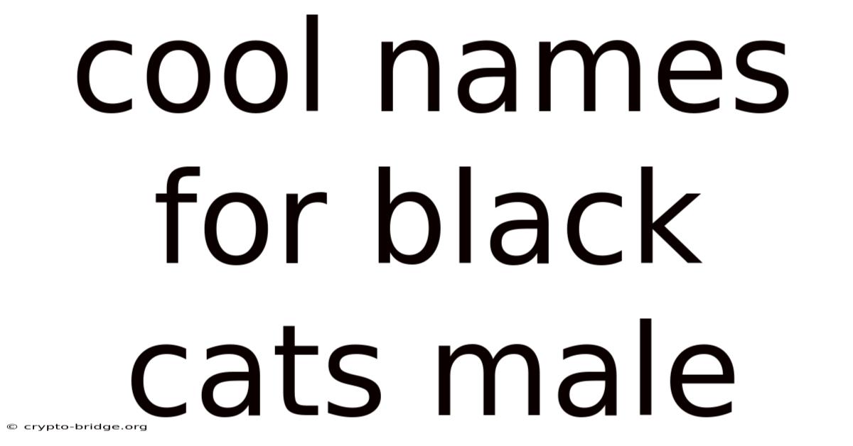 Cool Names For Black Cats Male