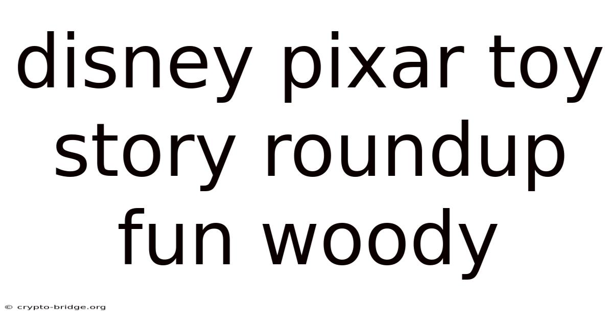 Disney Pixar Toy Story Roundup Fun Woody