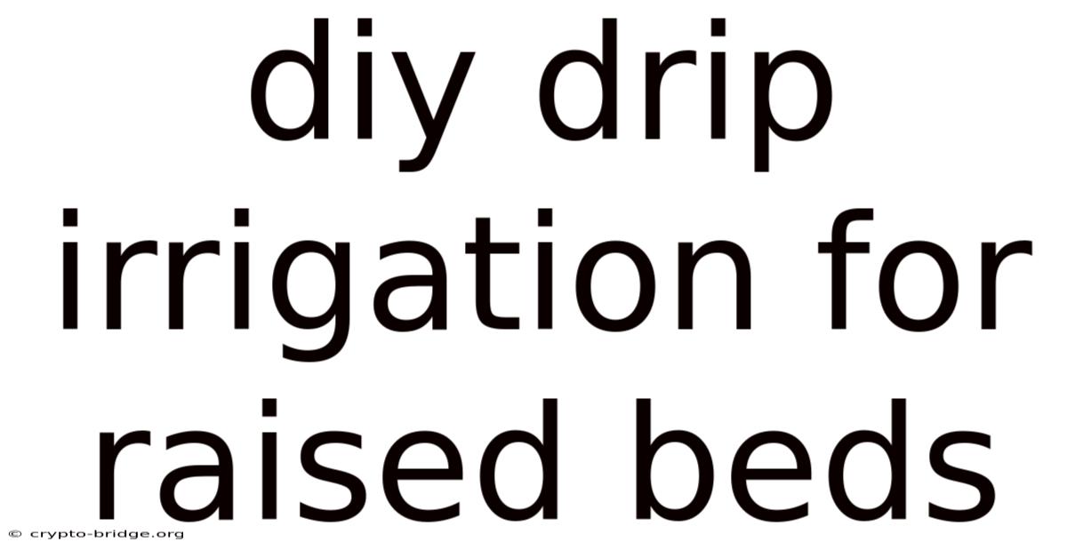 Diy Drip Irrigation For Raised Beds