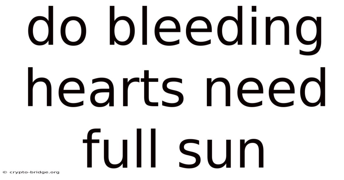 Do Bleeding Hearts Need Full Sun