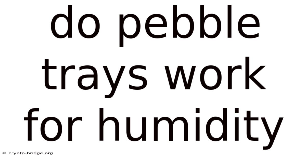 Do Pebble Trays Work For Humidity