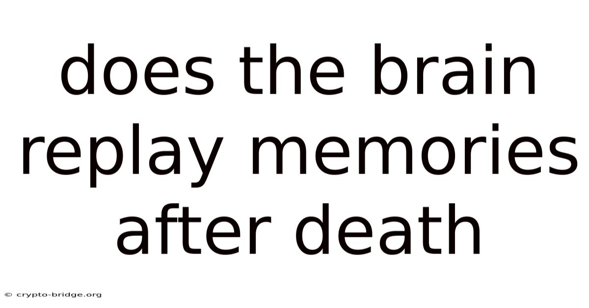 Does The Brain Replay Memories After Death