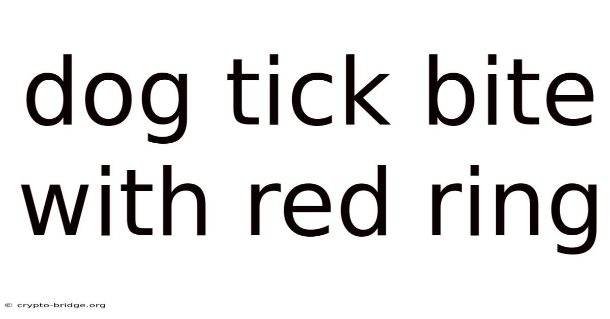 Dog Tick Bite With Red Ring