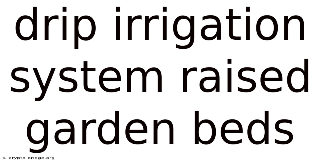 Drip Irrigation System Raised Garden Beds