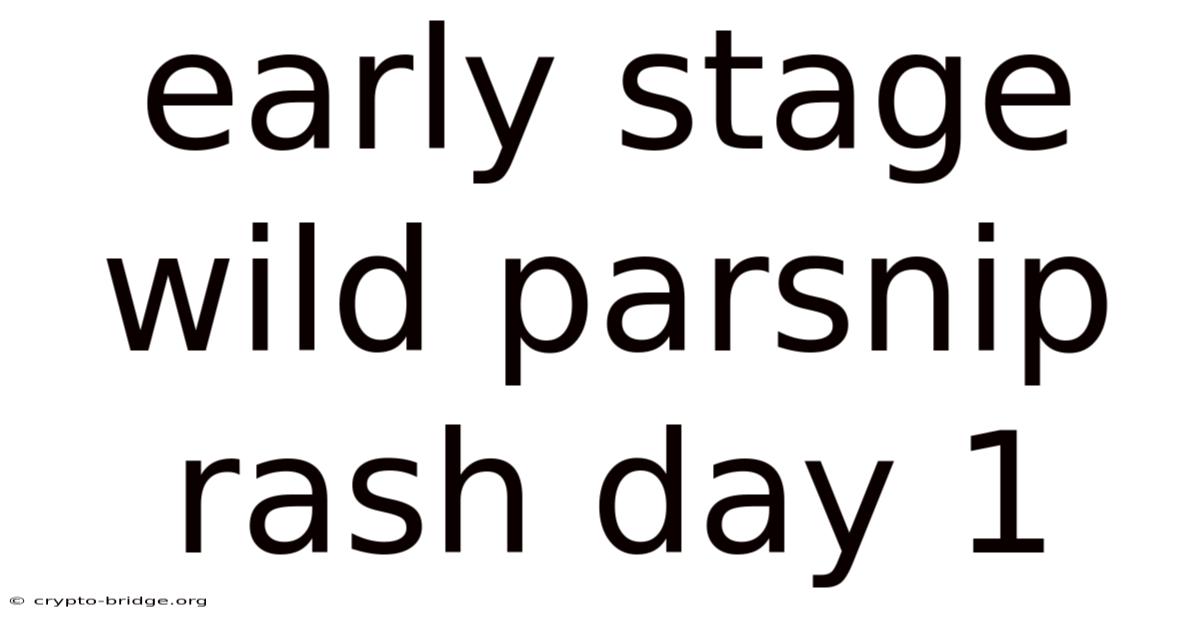 Early Stage Wild Parsnip Rash Day 1