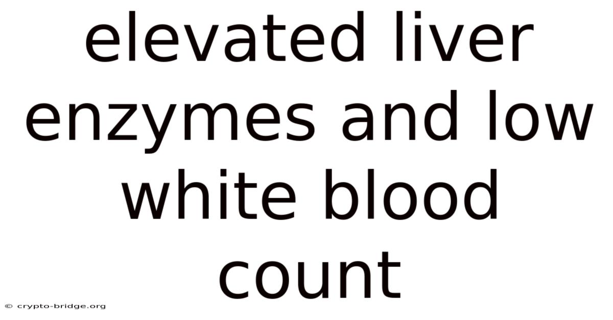 Elevated Liver Enzymes And Low White Blood Count