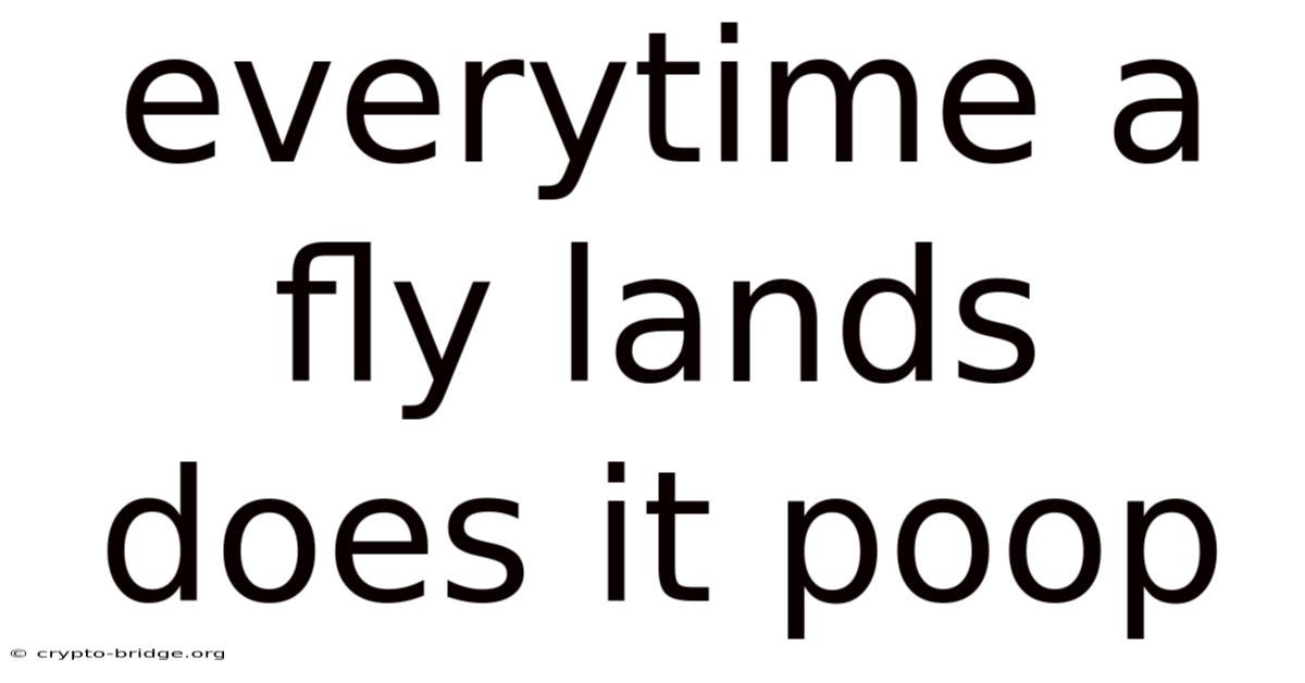 Everytime A Fly Lands Does It Poop