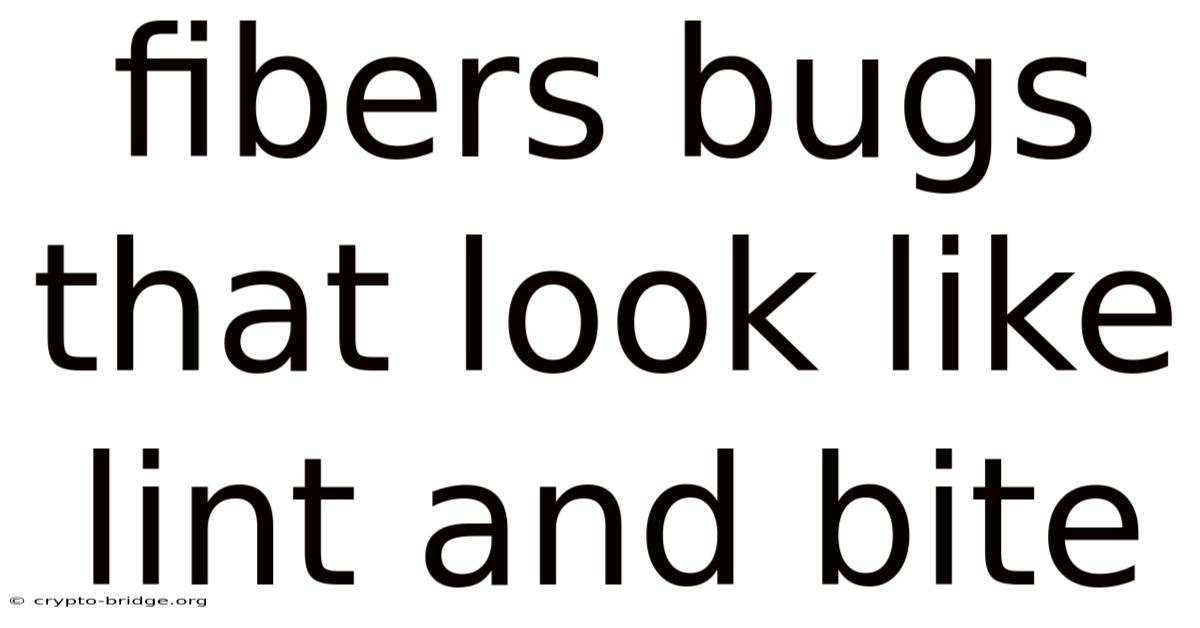 Fibers Bugs That Look Like Lint And Bite