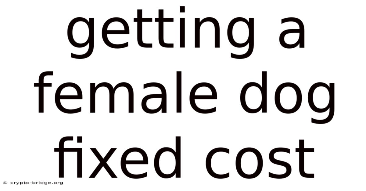 Getting A Female Dog Fixed Cost