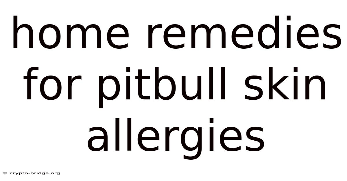 Home Remedies For Pitbull Skin Allergies