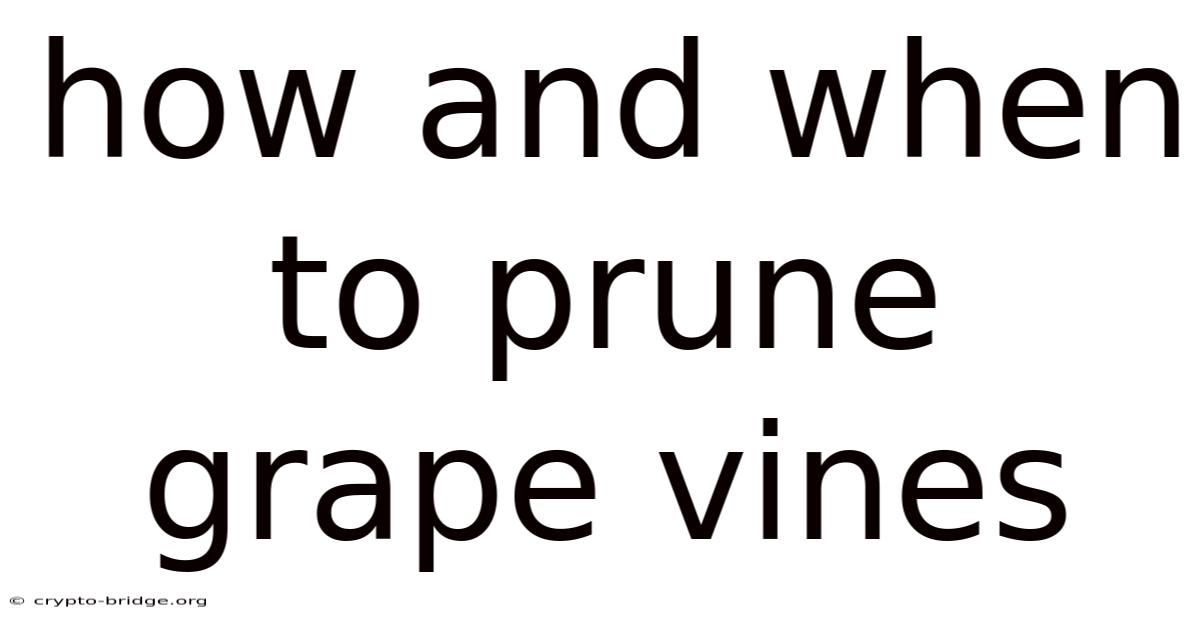 How And When To Prune Grape Vines