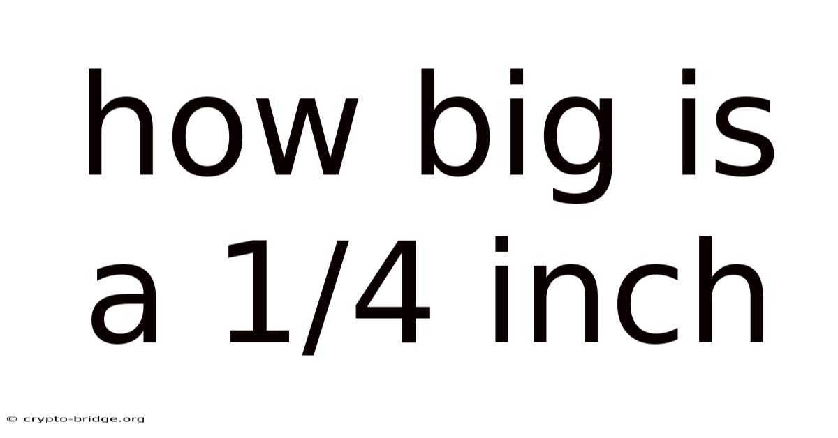 How Big Is A 1/4 Inch