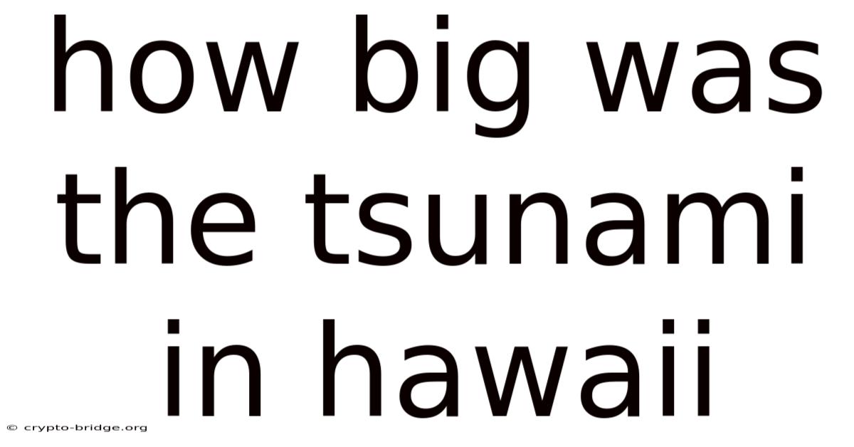 How Big Was The Tsunami In Hawaii