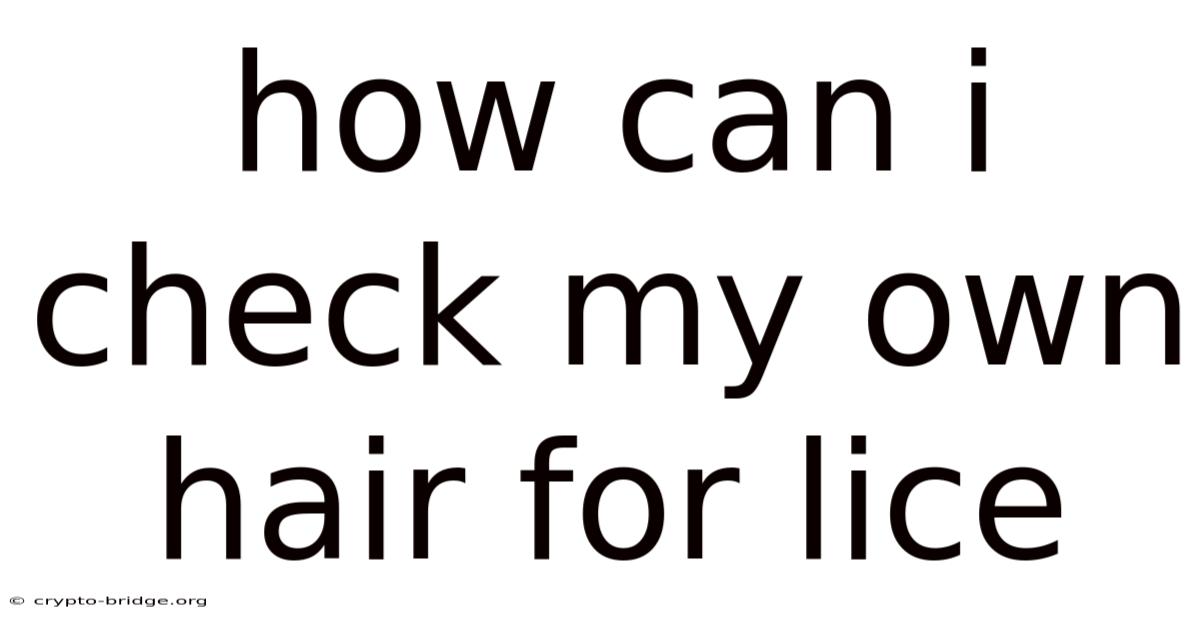 How Can I Check My Own Hair For Lice