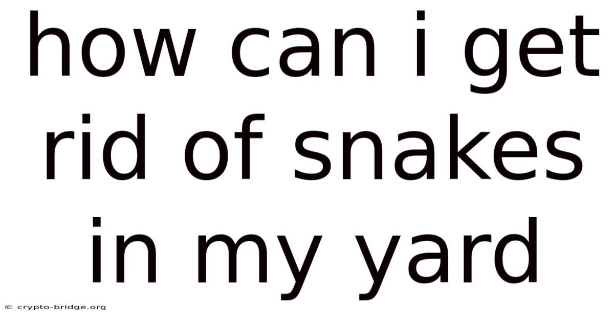 How Can I Get Rid Of Snakes In My Yard