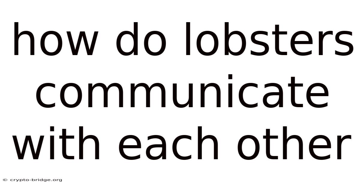 How Do Lobsters Communicate With Each Other